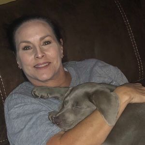 Meet your Posher, Posh